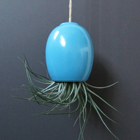 Hanging Air Plant Pod // Turquoise (1.5"L x 1.5"W x 3.25"H)