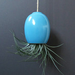 Hanging Air Plant Pod // Turquoise (1.5"L x 1.5"W x 3.25"H)