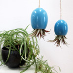 Hanging Air Plant Pod // Turquoise (1.5"L x 1.5"W x 3.25"H)