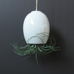 Hanging Air Plant Pod // White (1.5"L x 1.5"W x 3.25"H)