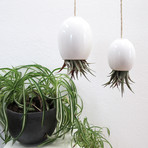 Hanging Air Plant Pod // White (1.5"L x 1.5"W x 3.25"H)