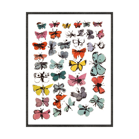Butterflies // 1955