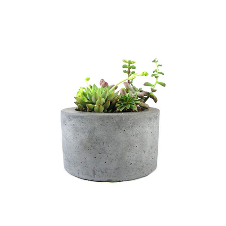 Round Concrete Planter (Natural)