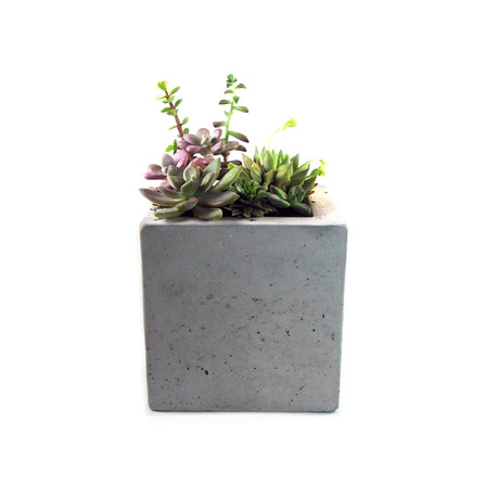 Concrete Planter // Square  (Natural)