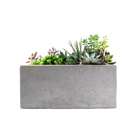 Rectangular Concrete Planter