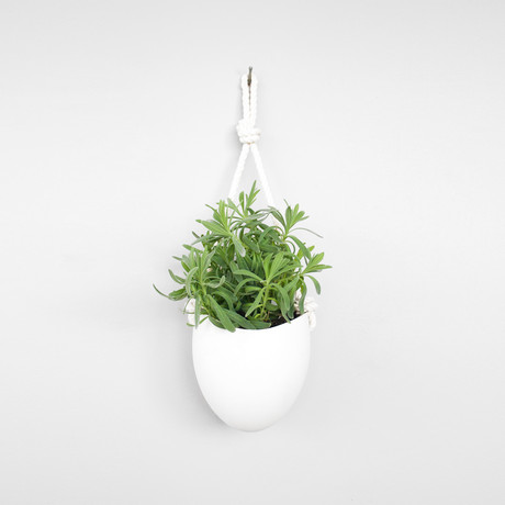 Porcelain and Rope Planter