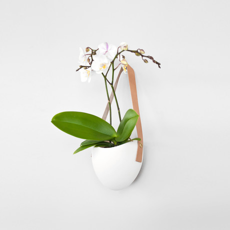 Porcelain and Leather Planter (Natural)