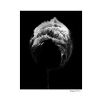 “Vanishing Beauty No. 01”