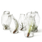 Whisp Vase