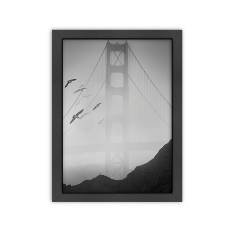 Golden Gate Pier and Birds