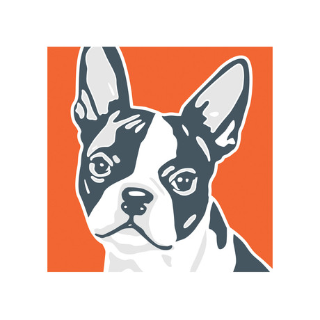 Classic Style // Boston Terrier Art Print (Print Only)