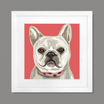 Pop Art // French Bulldog (Print Only)