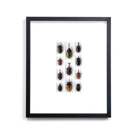 Rhino Beetle Mosaic // 20 x 24