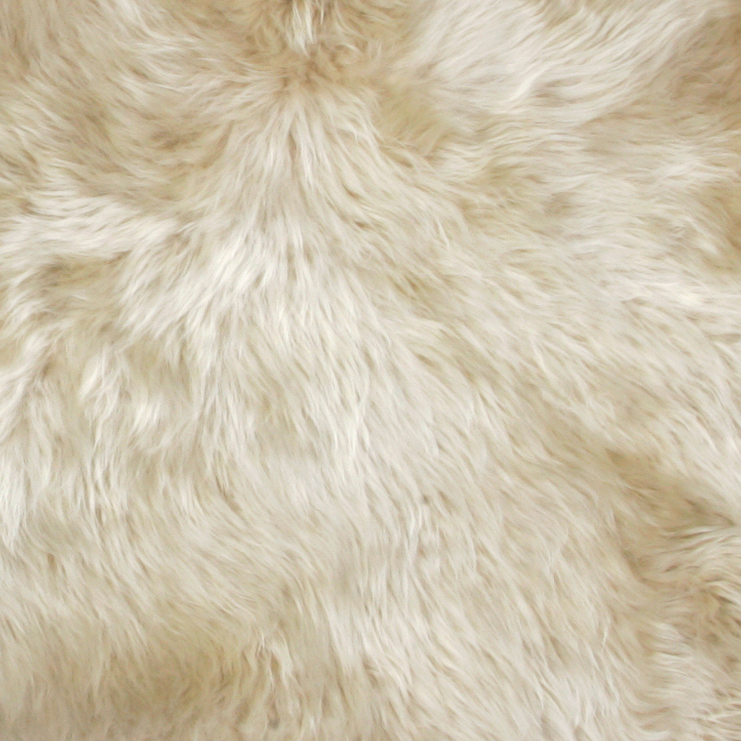Premium Single Sheepskin Pelt (Ivory) - Auskin - Touch of Modern