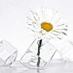 Mini Melting Ice Cube Glass Vase