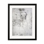 Leonardo Da Vinci // Head of an Old Man in Profile, Facsimile Copy (White Frame)