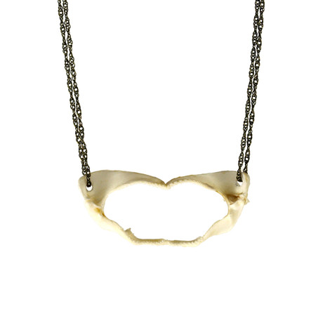 Shark Jaw Necklace