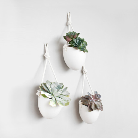 Porcelain and Rope Planter // Set of 3