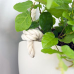 Porcelain and Rope Planter