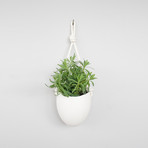 Porcelain and Rope Planter