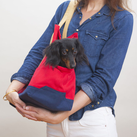 Canvas Pet Tote // Red & Navy (Large)