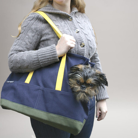 Canvas Pet Tote // Navy & Olive (Large)