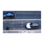 "Untitled" (16"L x 24"W)