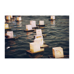 "Light The Way" (16"L x 24"W)