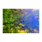 "Color Spectrum Study - G" (16"L x 24"W)