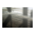 "Contemplative Discourse" (16"L x 24"W)