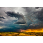 Lucid Sunset (16"L x 24"W)