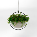 Terrazzo Hanging Pot