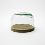 Glass Food Container