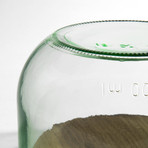 Glass Food Container