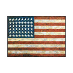 Jasper Johns, Flag, 1954