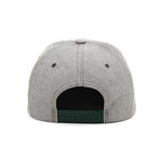 Solid Snapback (Grey)