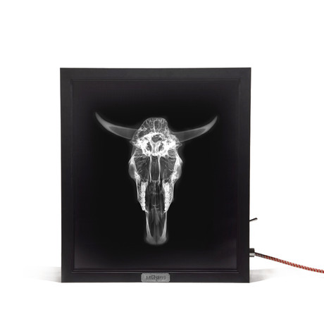 Mentalpieces X-Ray Light Box // The Bull