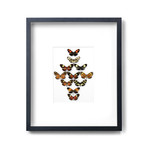 Longwing Formation // 20" x 24"