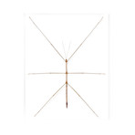 Javelin Walking Stick // 16" x 20"