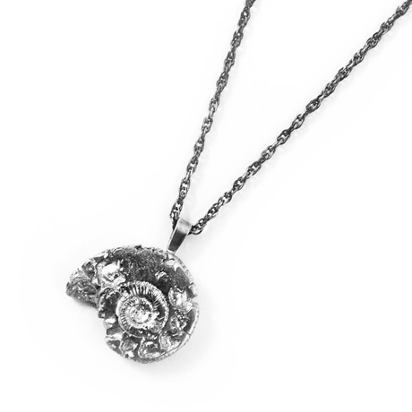 Silver Back Ammonite Necklace // Silver