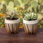 La Morena Planter (Small)