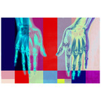 Xray Vizion Multi (16” x 24”)