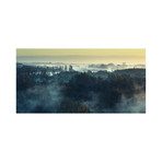 Misty Morning (24"x12")