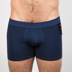 Roger Blue Trunk (Small)