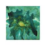 Nectar (26"L x 26"W)