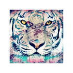 White Tiger (12"W x 12"H x 1.5"D)