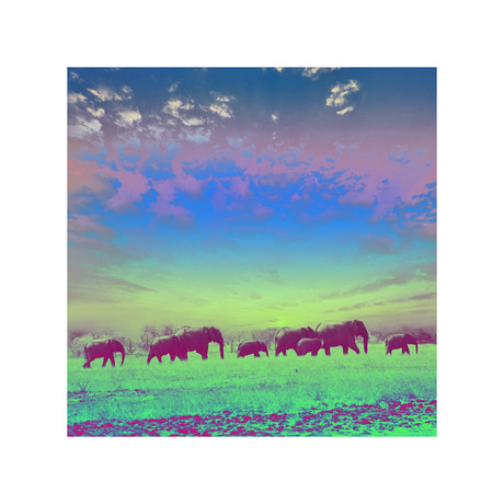 Painted Elephants (12"x12”)