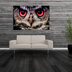 Night Owl (16”x24”)