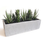 Cactus Garden // Cement Planter