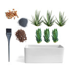 Cactus Garden // Gloss Planter